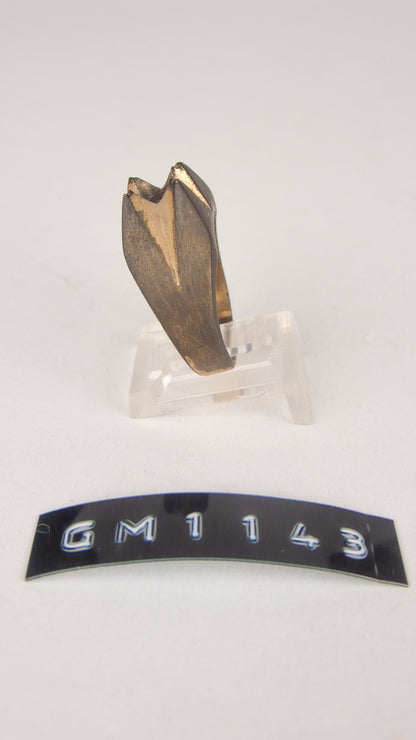 GM 1145
