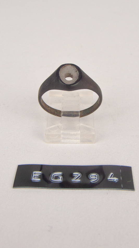 EG 294