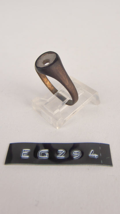 EG 294
