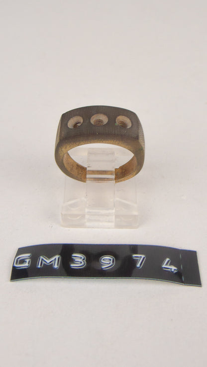 GM 3974