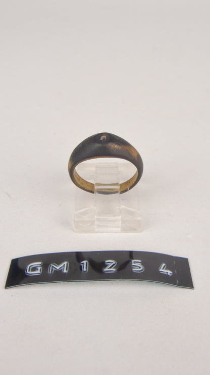 GM 1254