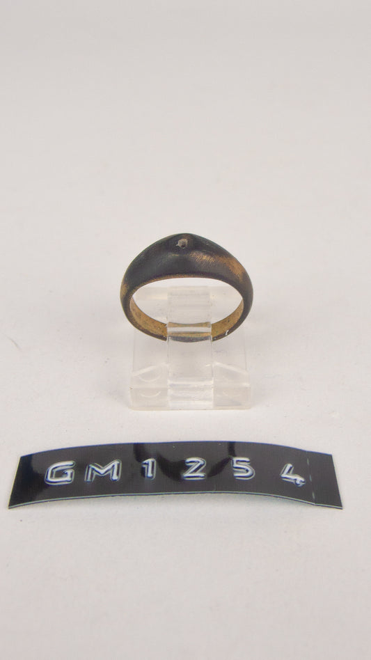 GM 1254