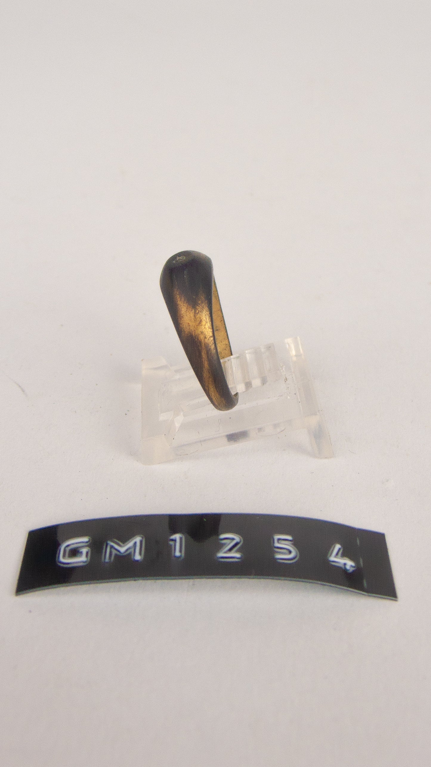 GM 1254