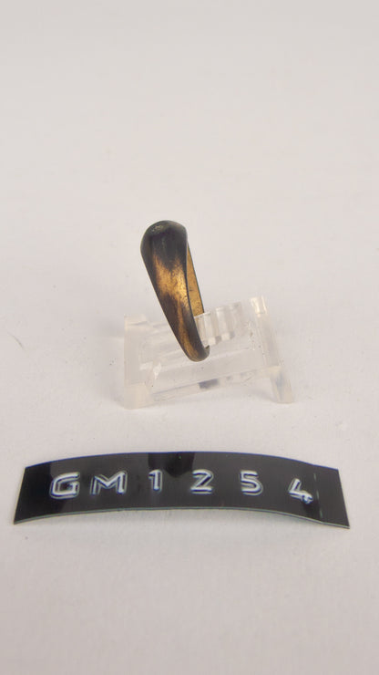 GM 1254