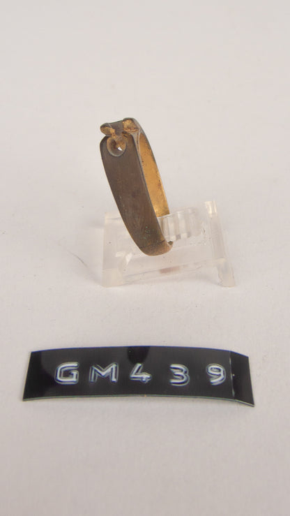 GM 439