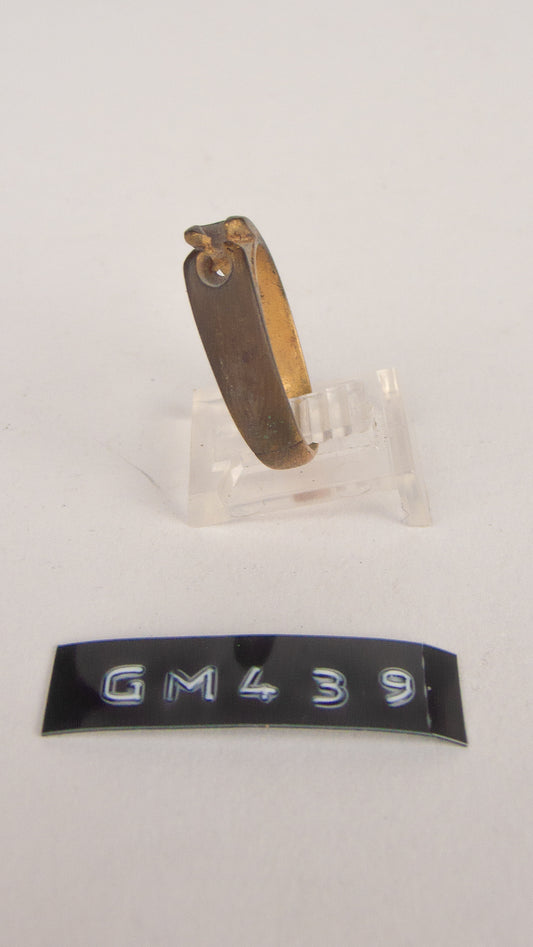 GM 439