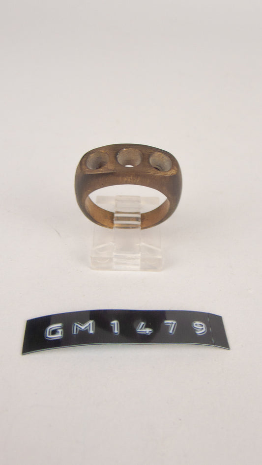 GM 1479