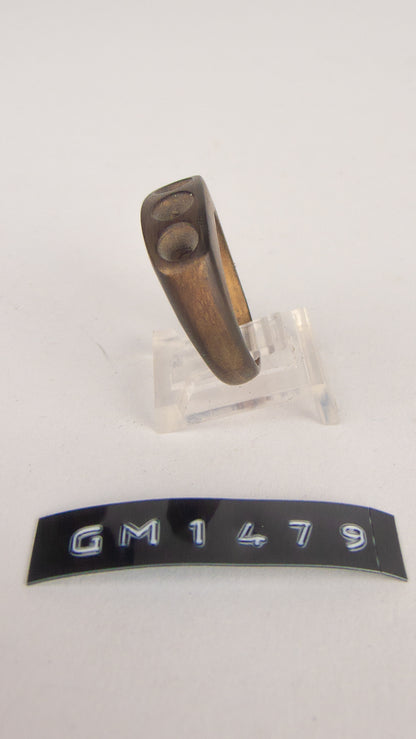 GM 1479