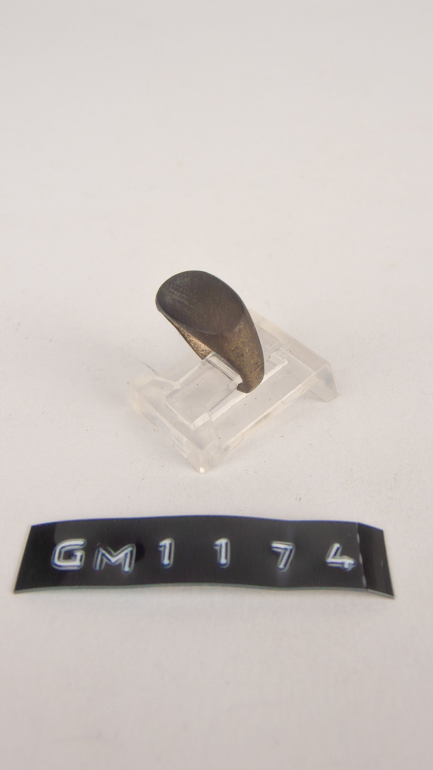 GM 1174