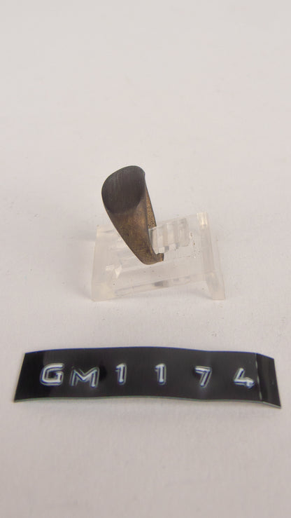 GM 1174
