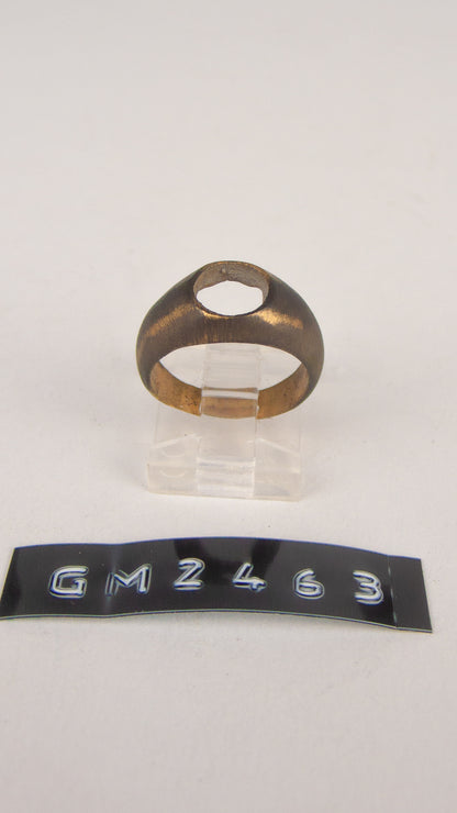 GM 2463