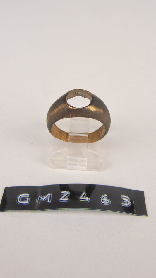 GM 2463