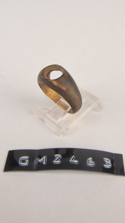 GM 2463