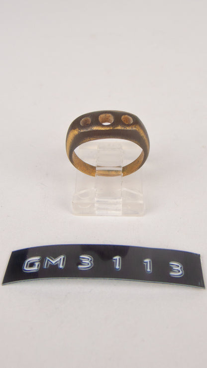 GM 3113