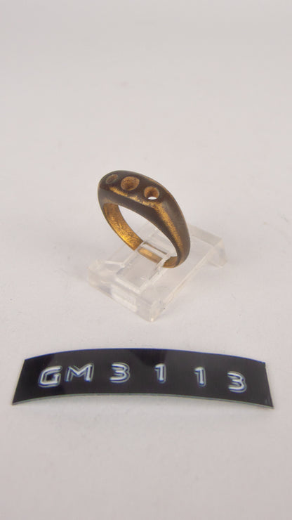 GM 3113