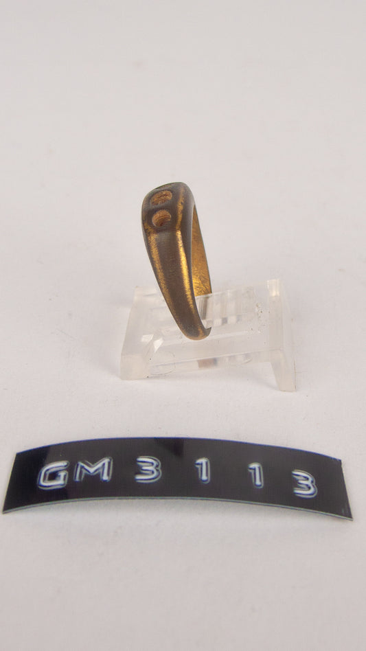 GM 3113