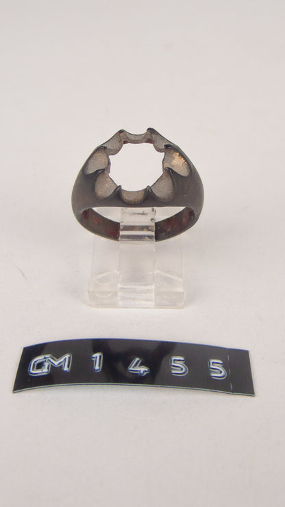 GM 1455