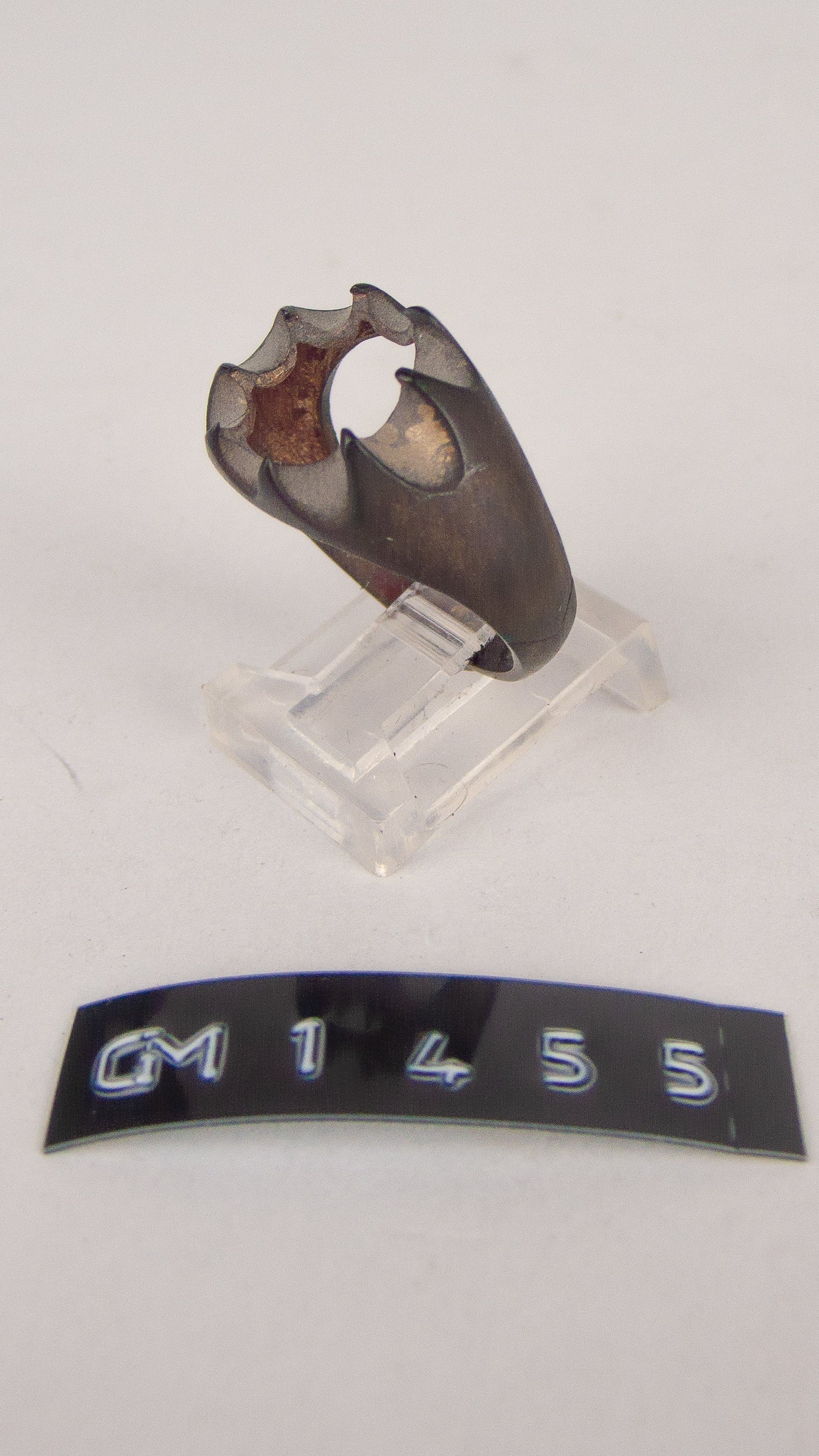 GM 1455