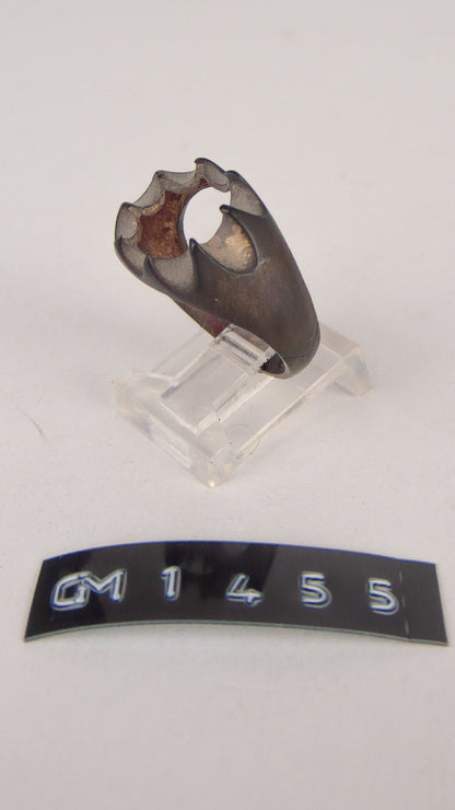 GM 1455