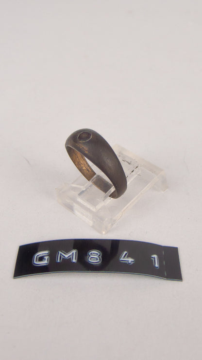 GM 841