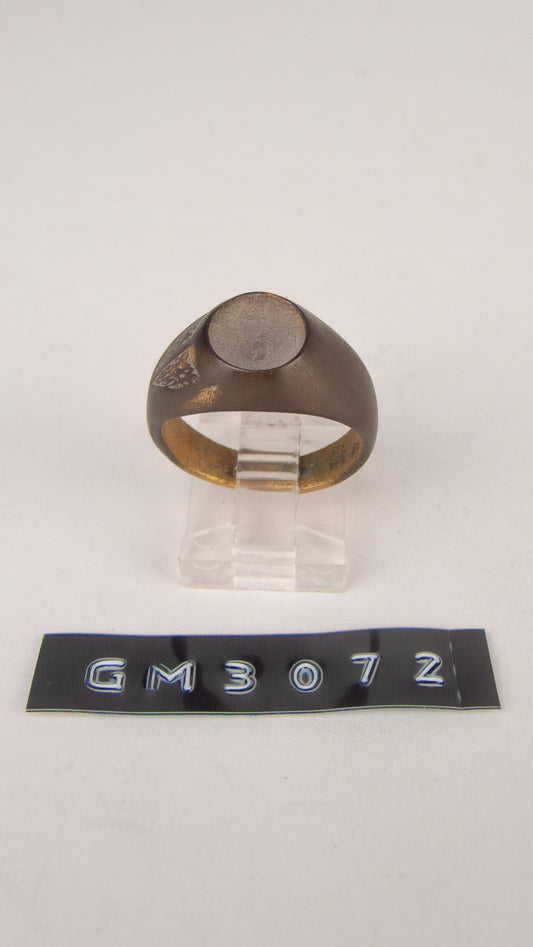 GM 3072