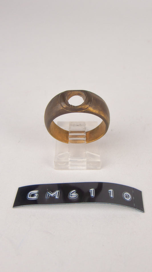 GM 6110