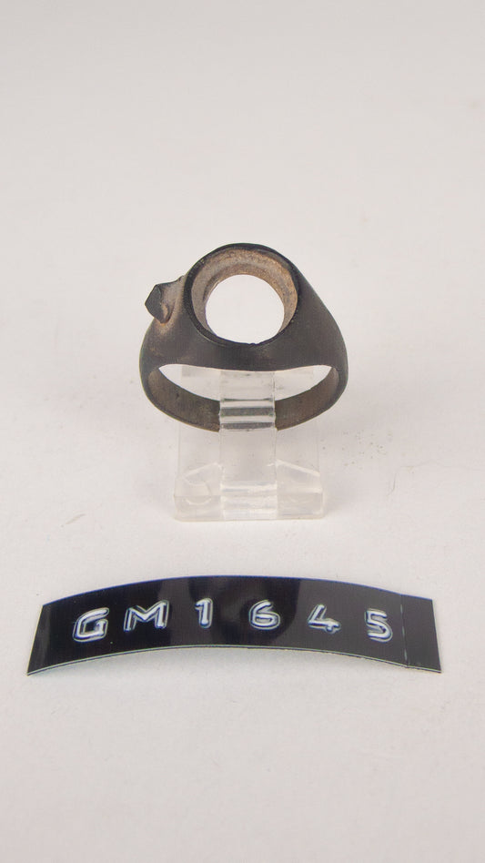GM 1645