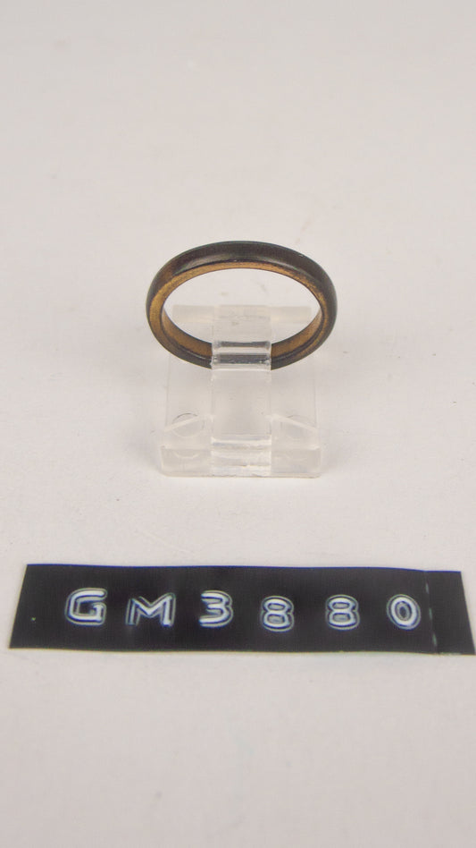 GM 3880