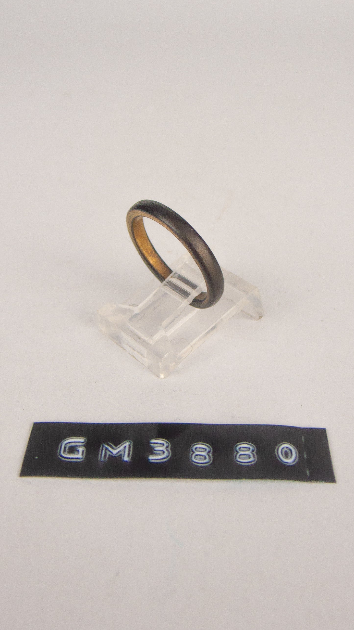 GM 3880