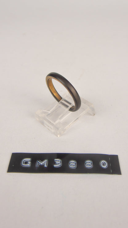 GM 3880