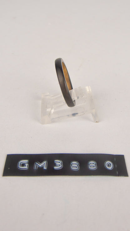 GM 3880
