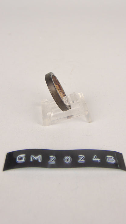 GM 2024B