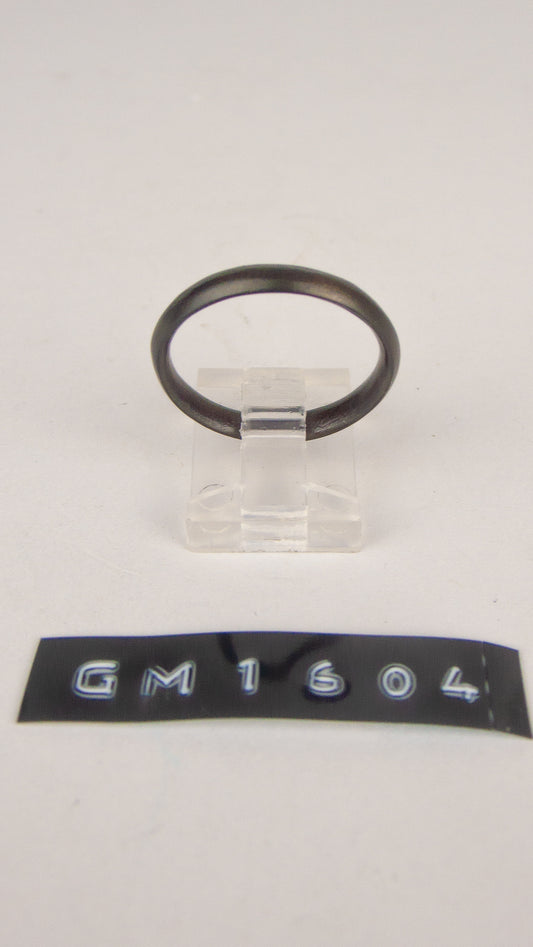 GM 1604
