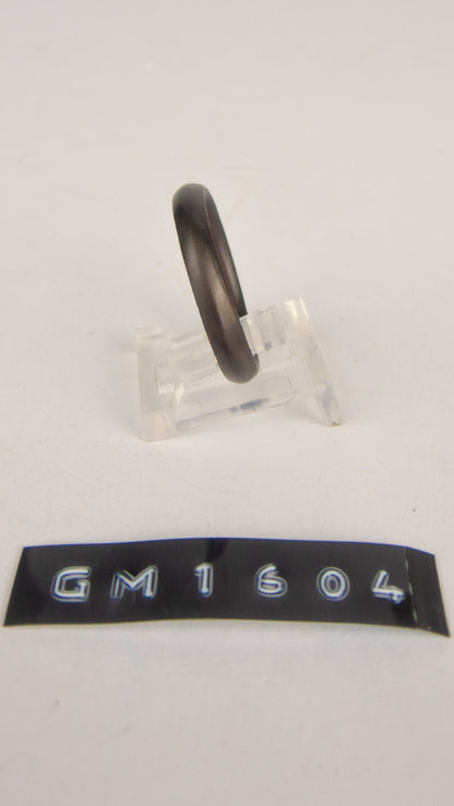 GM 1604