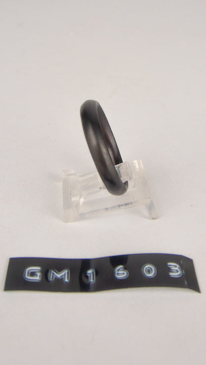 GM 1603