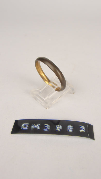 GM 3983