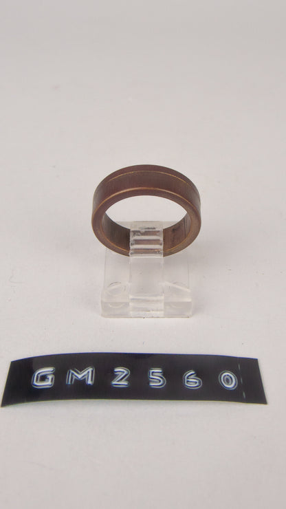 GM 2560