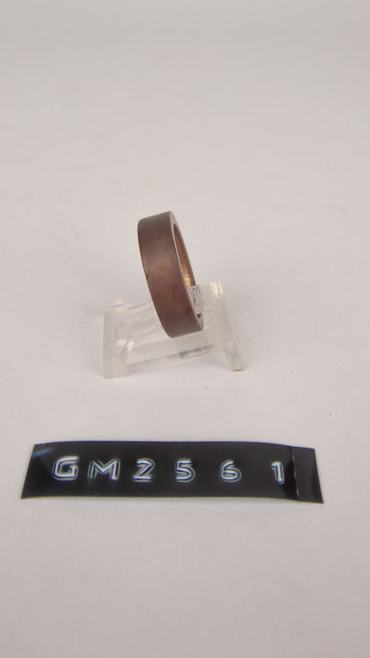 GM 2561