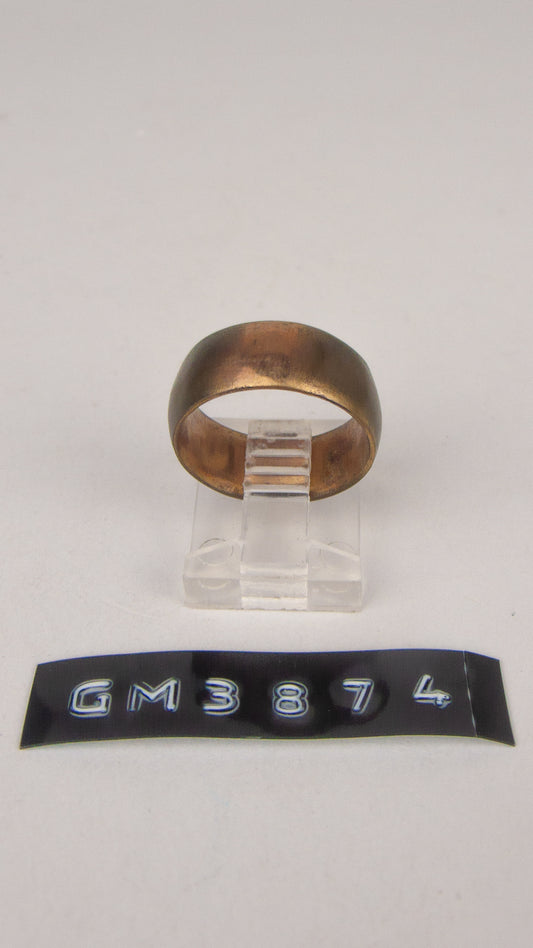 GM 3874