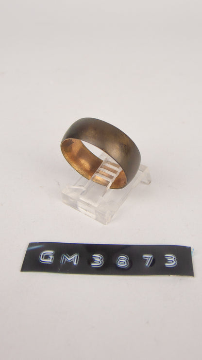 GM 3873