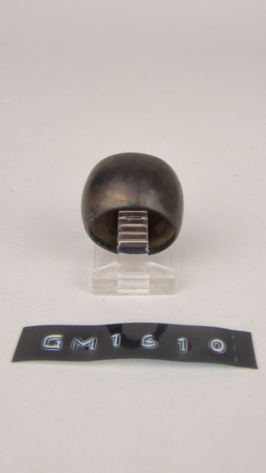 GM 1610