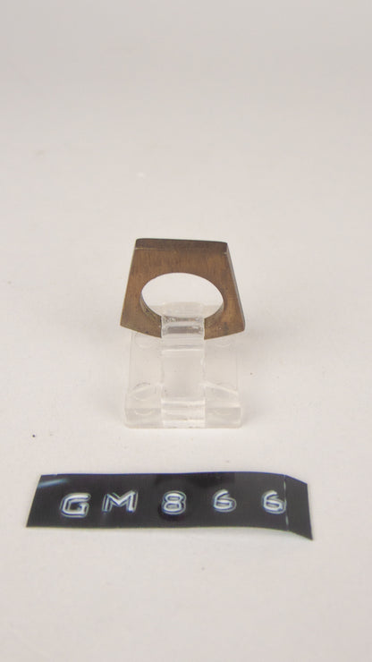 GM 866