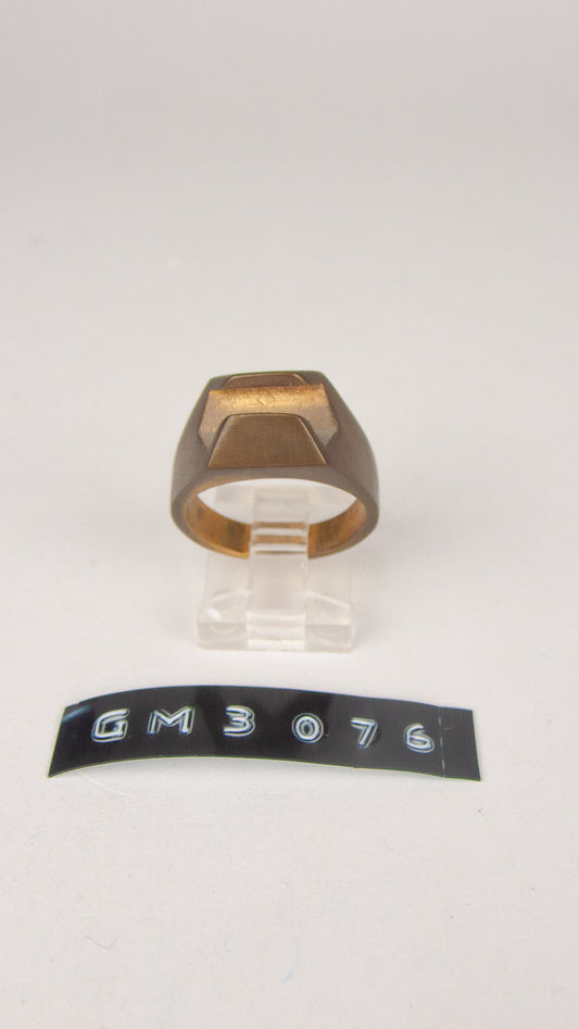 GM 3076