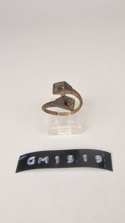 GM 1519