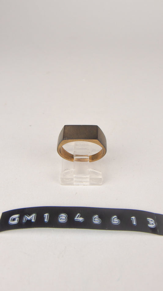 GM 1846613
