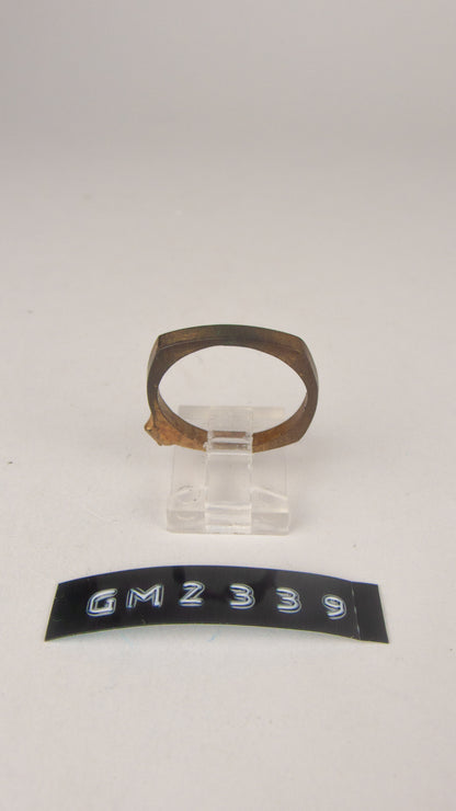 GM 2339