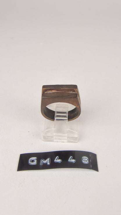 GM 448