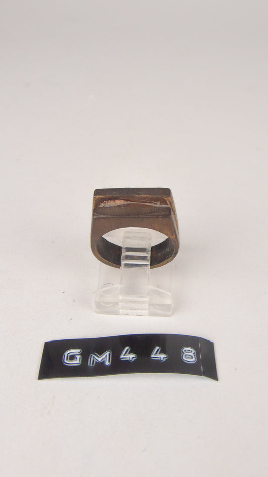 GM 448