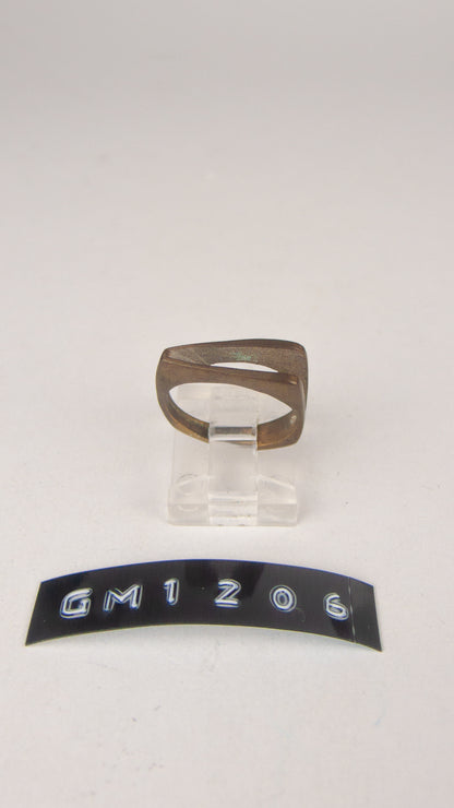 GM 1206