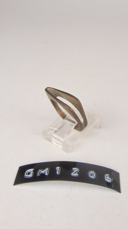 GM 1206